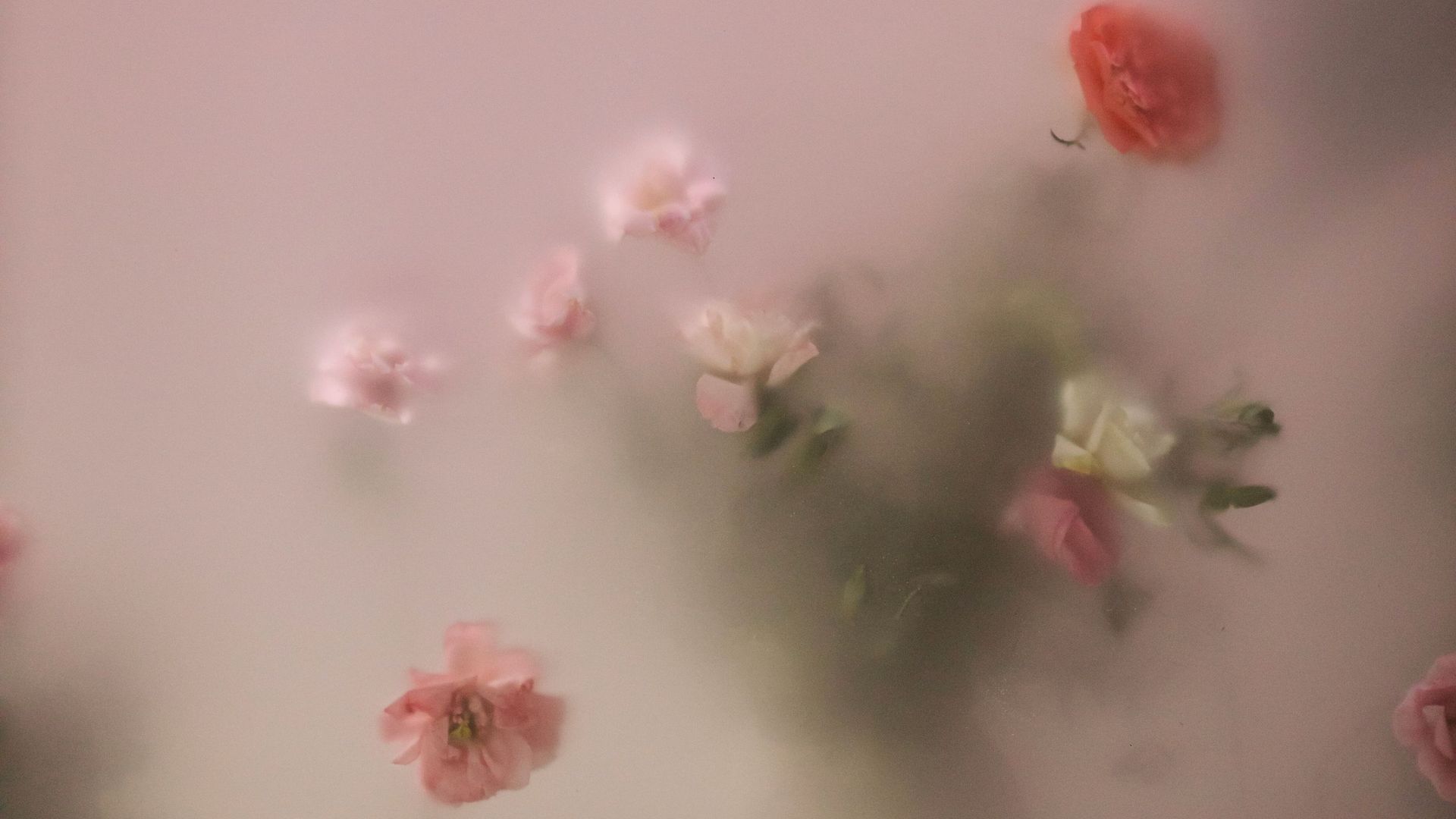 Somatic Body Homepage